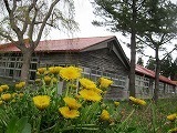069.jpg