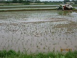 IMG_0749.jpg