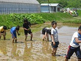 IMG_2716.jpg