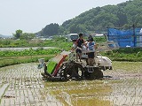 IMG_2752.jpg