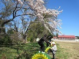 s-IMG_0361.jpg